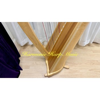 Harp Rental - Lyon & Healy Ogden 34 Harp Rental - Lyon & Healy Ogden 34